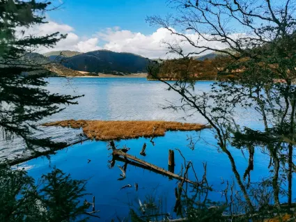 77spins Kasino Apl Mudah Alih